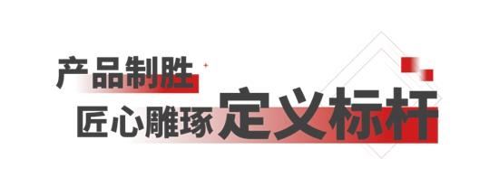 1764208757223316.jpg 2.jpg