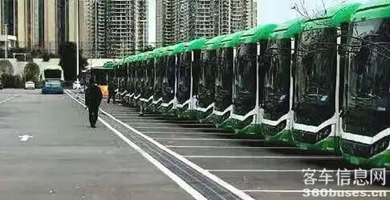 1765164547872799.jpg 11.jpg