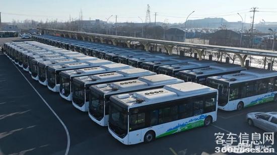 1765164912512379.jpg 2.jpg