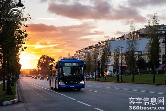 1768900024154843.jpg 4.jpg