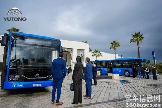 1768900061507042.jpg 9.jpg