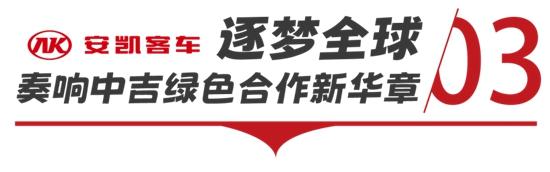 1769138863345073.jpg 10.jpg