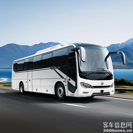 1769399917956119.jpg 2.jpg