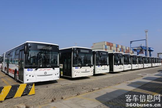 1769399971722127.jpg 8.JPG