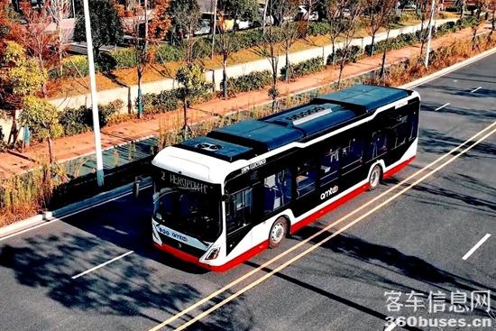 1769409185200519.jpg 4.jpg