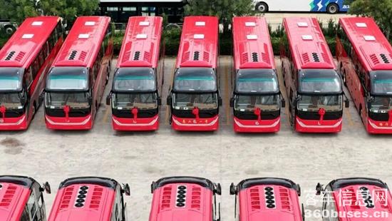 1769410352998075.jpg 4.jpg