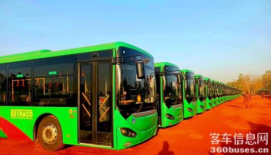 1770004212718380.jpg 2.jpg