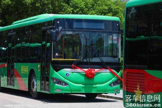 1770004230945230.jpg 4.jpg