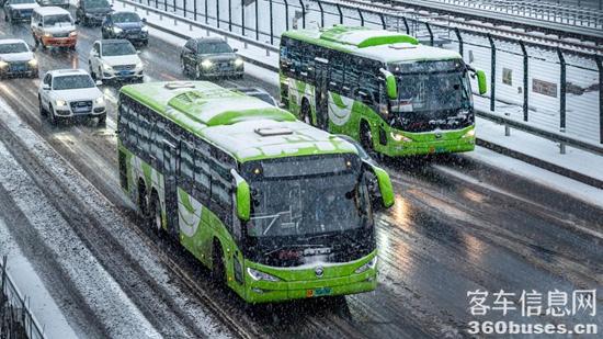 1770024005192548.jpg 2.jpg