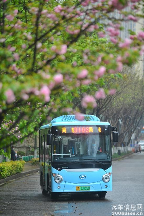 1770088627566468.jpg 4.jpg